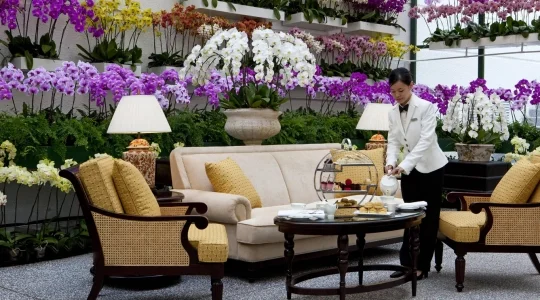 マジェスティックホテル_